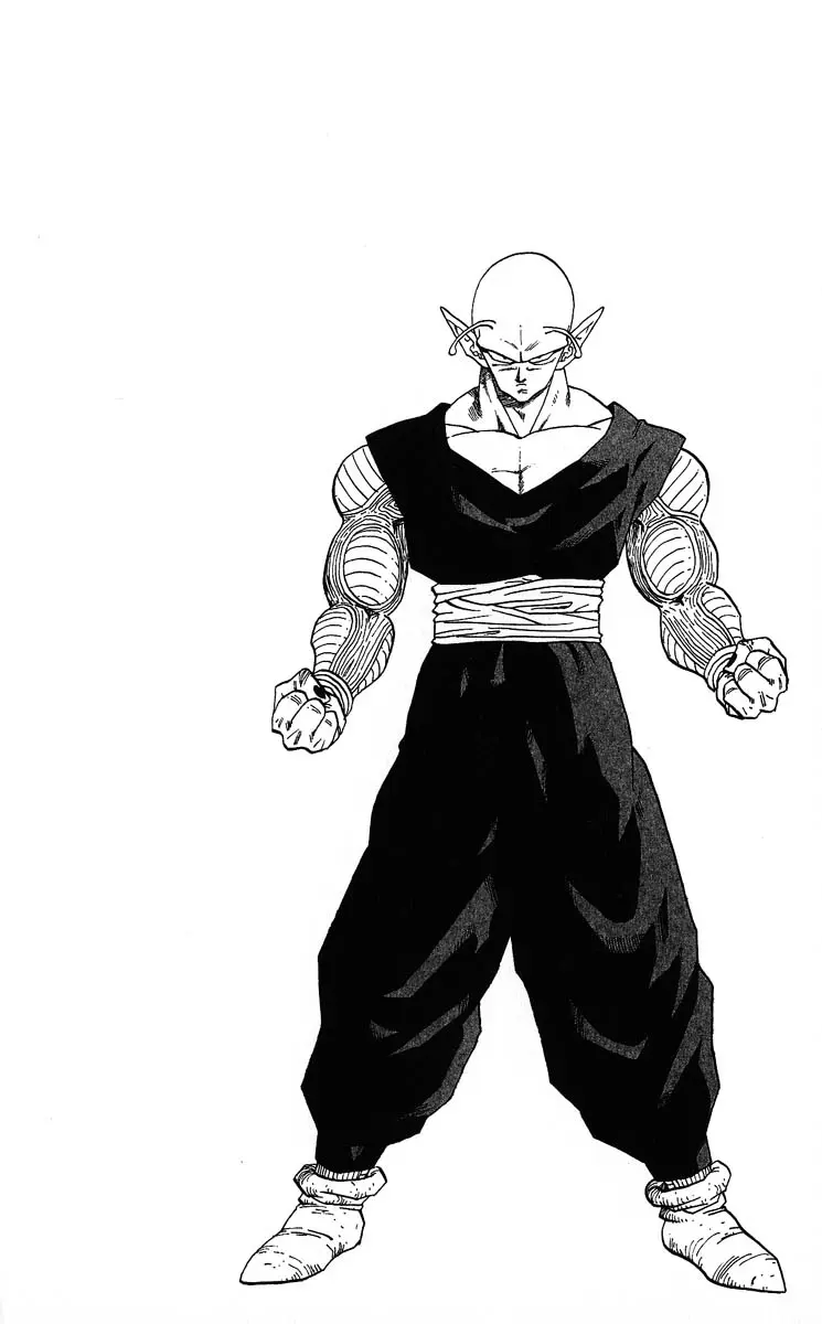 Chapitre 29 — Dragon Ball (Édition Japonaise) Vol. 29 — page 168