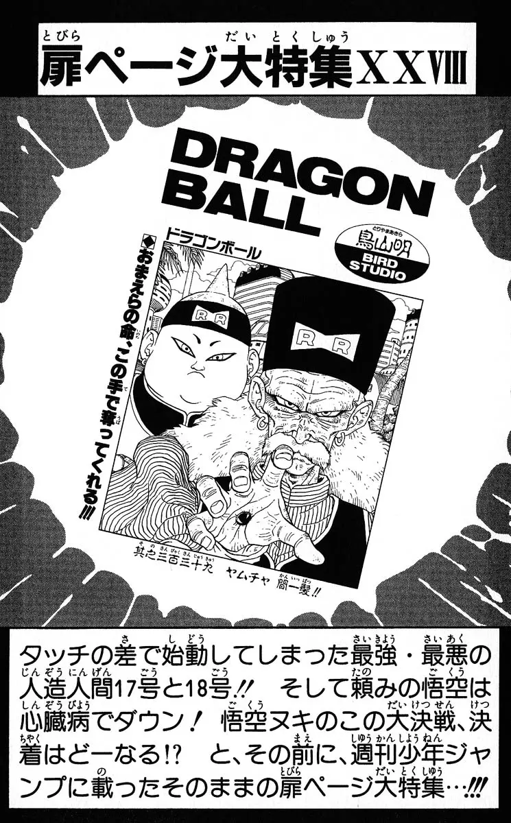 Chapitre 29 — Dragon Ball (Édition Japonaise) Vol. 29 — page 184