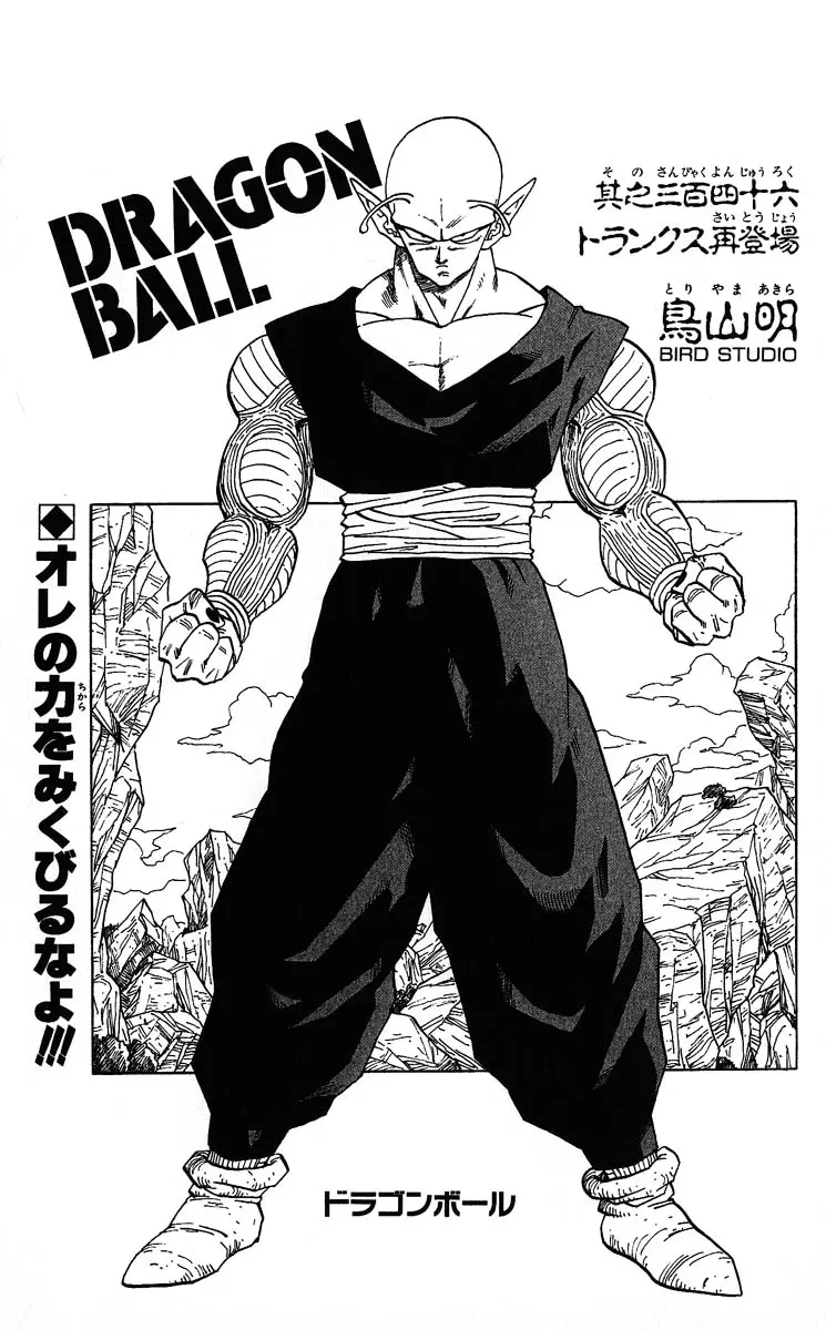 Chapitre 29 — Dragon Ball (Édition Japonaise) Vol. 29 — page 189
