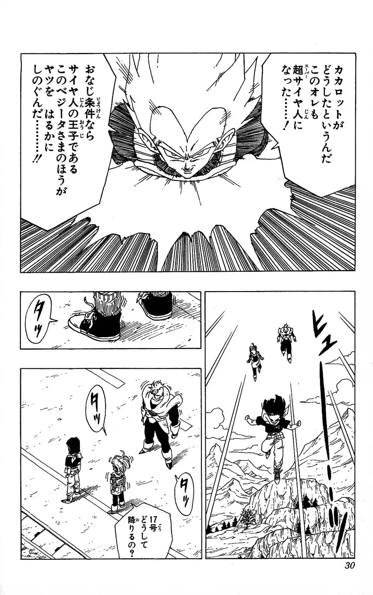 Chapitre 30 — Dragon Ball (Édition Japonaise) Vol. 30 — page 30