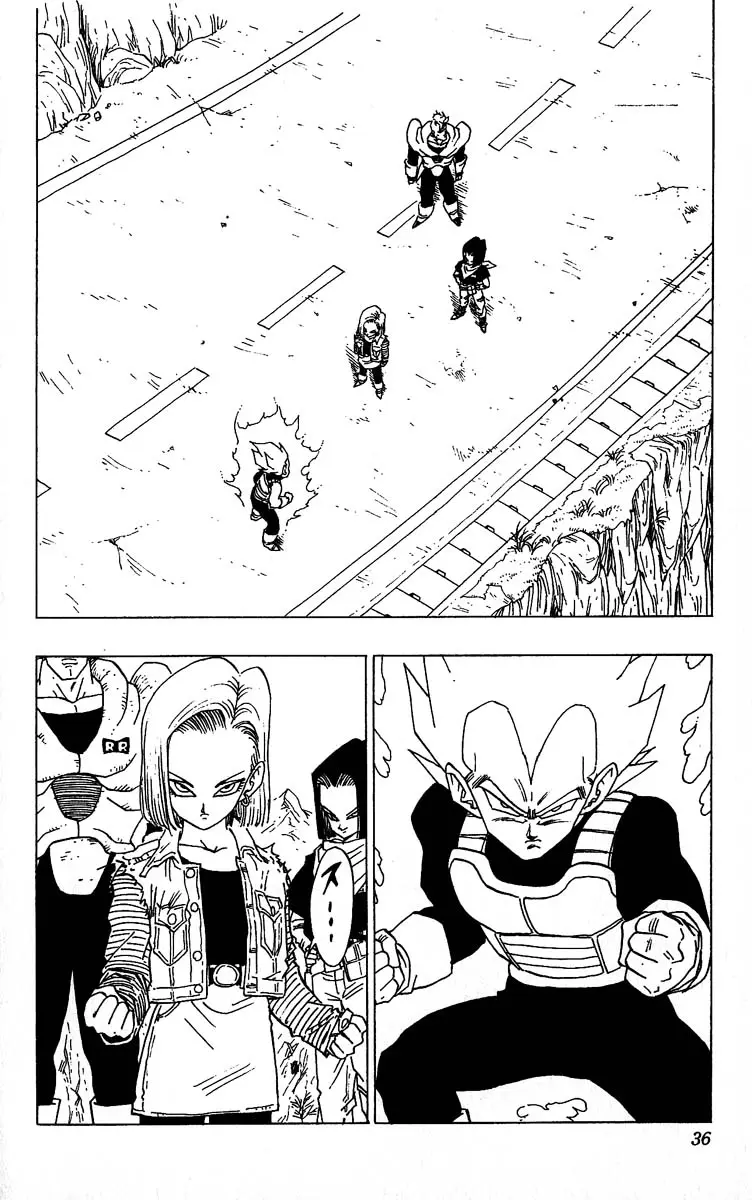 Chapitre 30 — Dragon Ball (Édition Japonaise) Vol. 30 — page 36