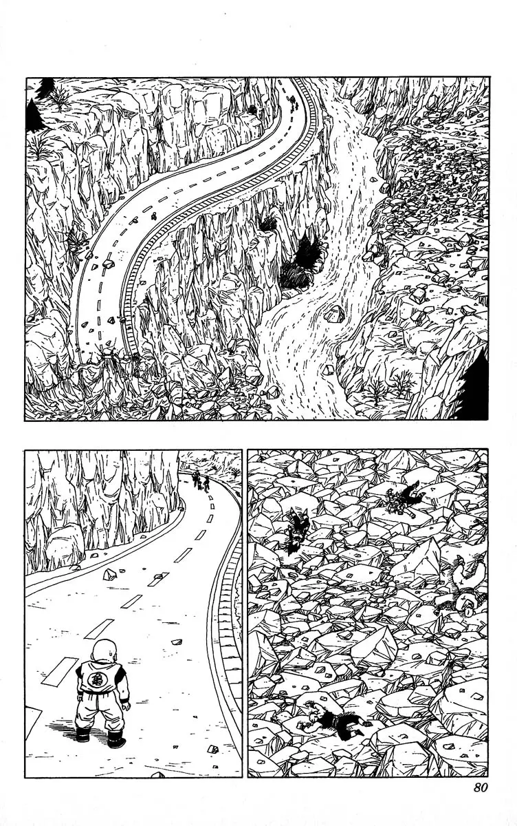 Chapitre 30 — Dragon Ball (Édition Japonaise) Vol. 30 — page 80