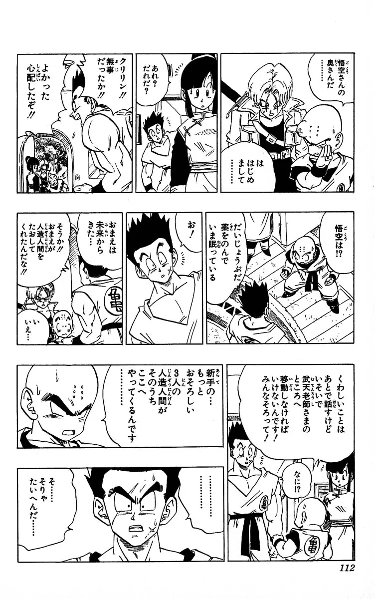 Chapitre 30 — Dragon Ball (Édition Japonaise) Vol. 30 — page 112