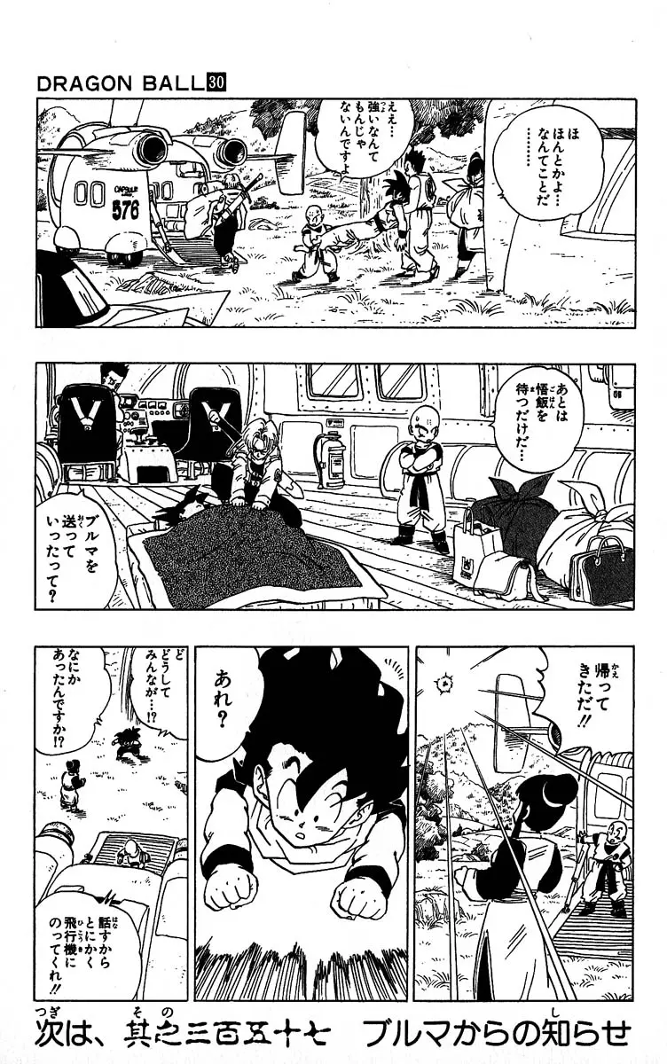 Chapitre 30 — Dragon Ball (Édition Japonaise) Vol. 30 — page 113