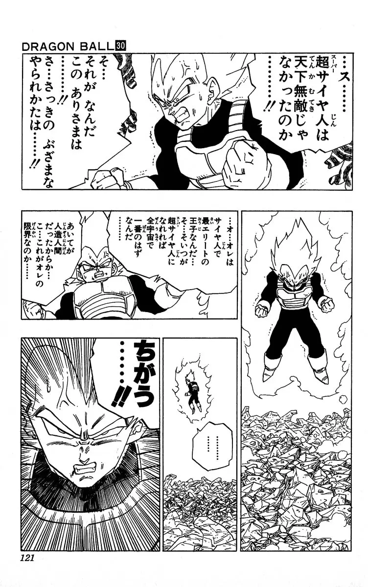Chapitre 30 — Dragon Ball (Édition Japonaise) Vol. 30 — page 121
