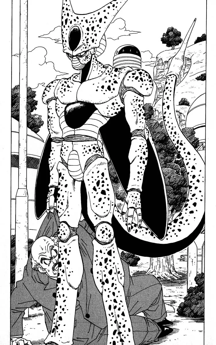 Chapitre 30 — Dragon Ball (Édition Japonaise) Vol. 30 — page 171