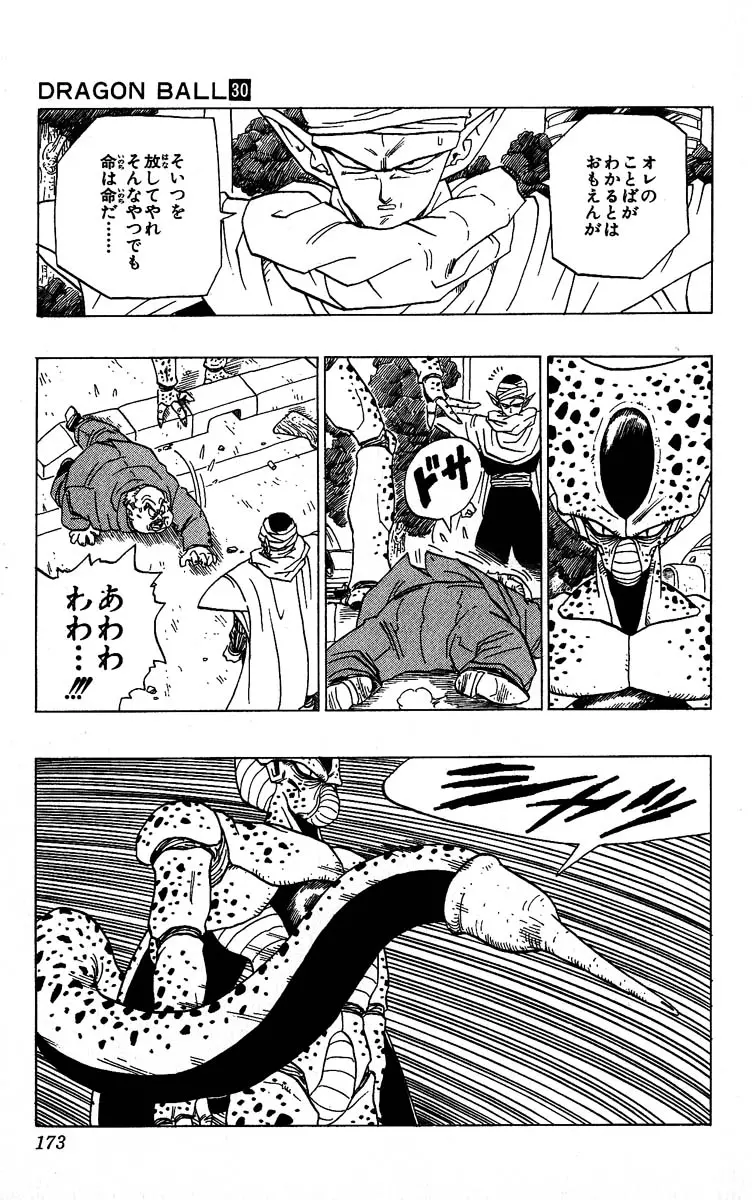 Chapitre 30 — Dragon Ball (Édition Japonaise) Vol. 30 — page 173