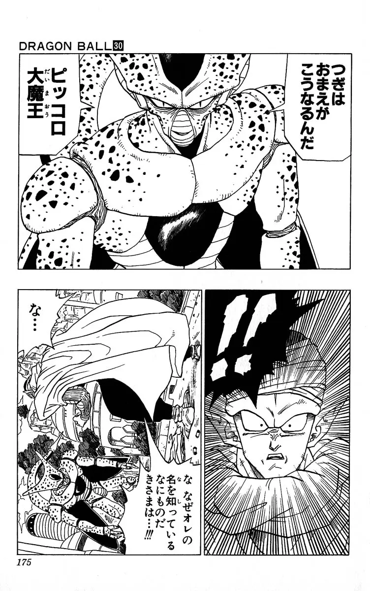 Chapitre 30 — Dragon Ball (Édition Japonaise) Vol. 30 — page 175