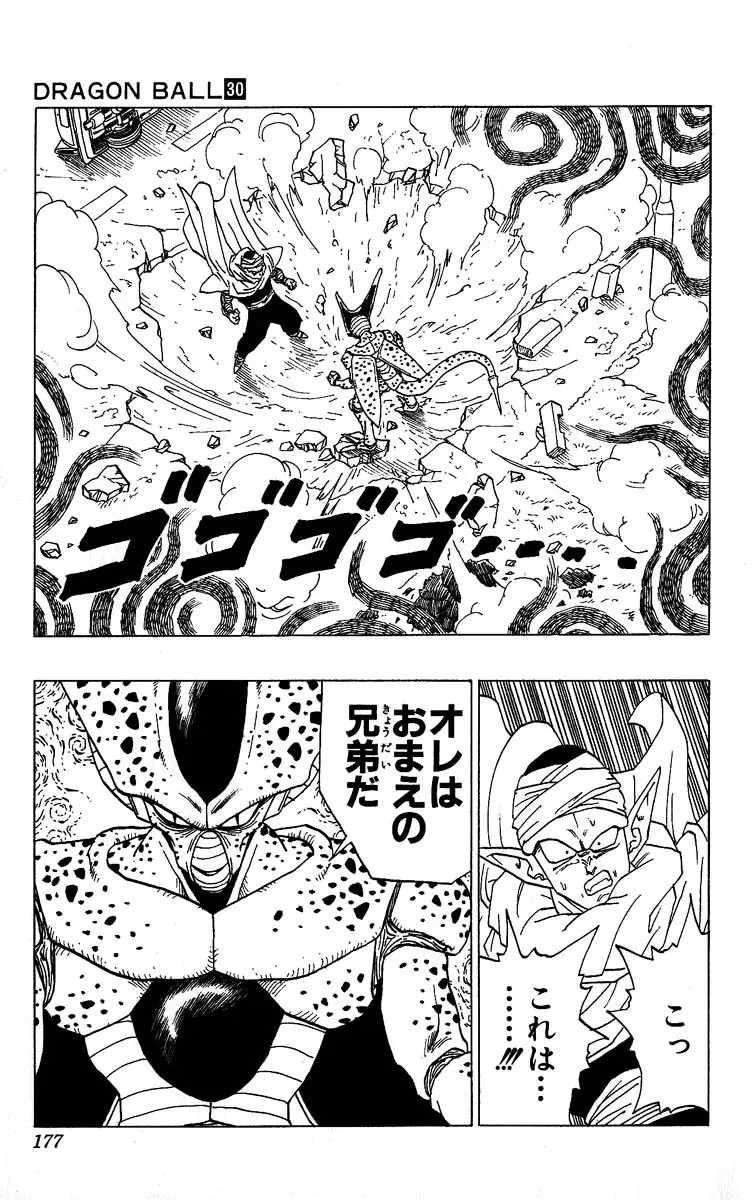 Chapitre 30 — Dragon Ball (Édition Japonaise) Vol. 30 — page 177