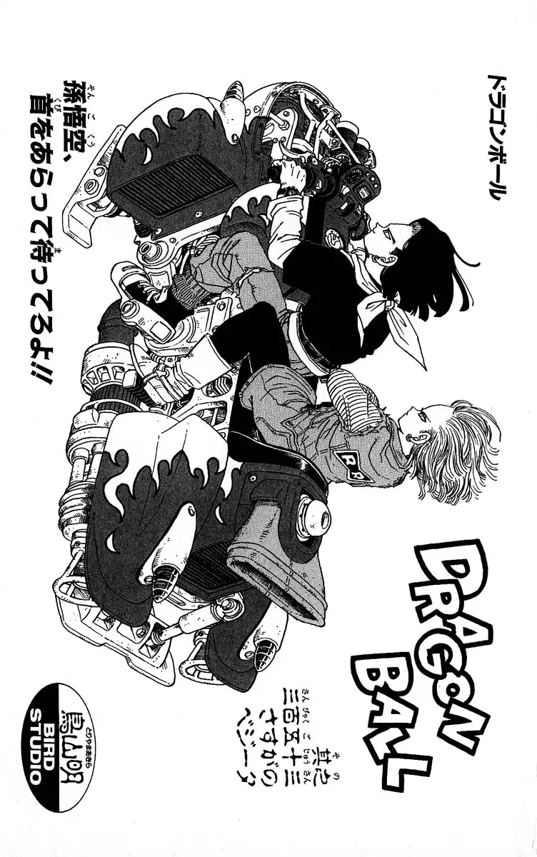 Chapitre 30 — Dragon Ball (Édition Japonaise) Vol. 30 — page 186