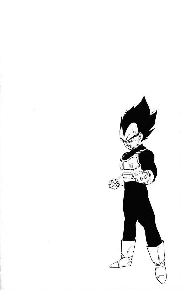 Chapitre 31 — Dragon Ball (Édition Japonaise) Vol. 31 — page 66