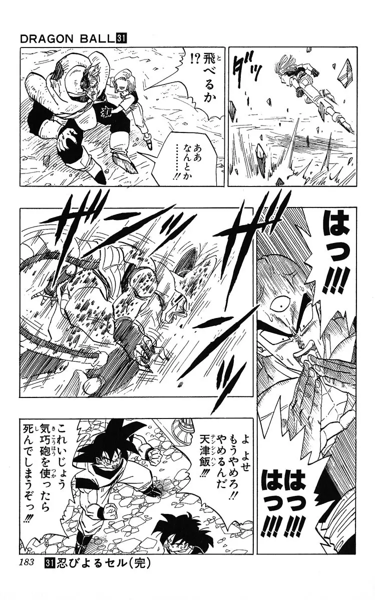 Chapitre 31 — Dragon Ball (Édition Japonaise) Vol. 31 — page 183