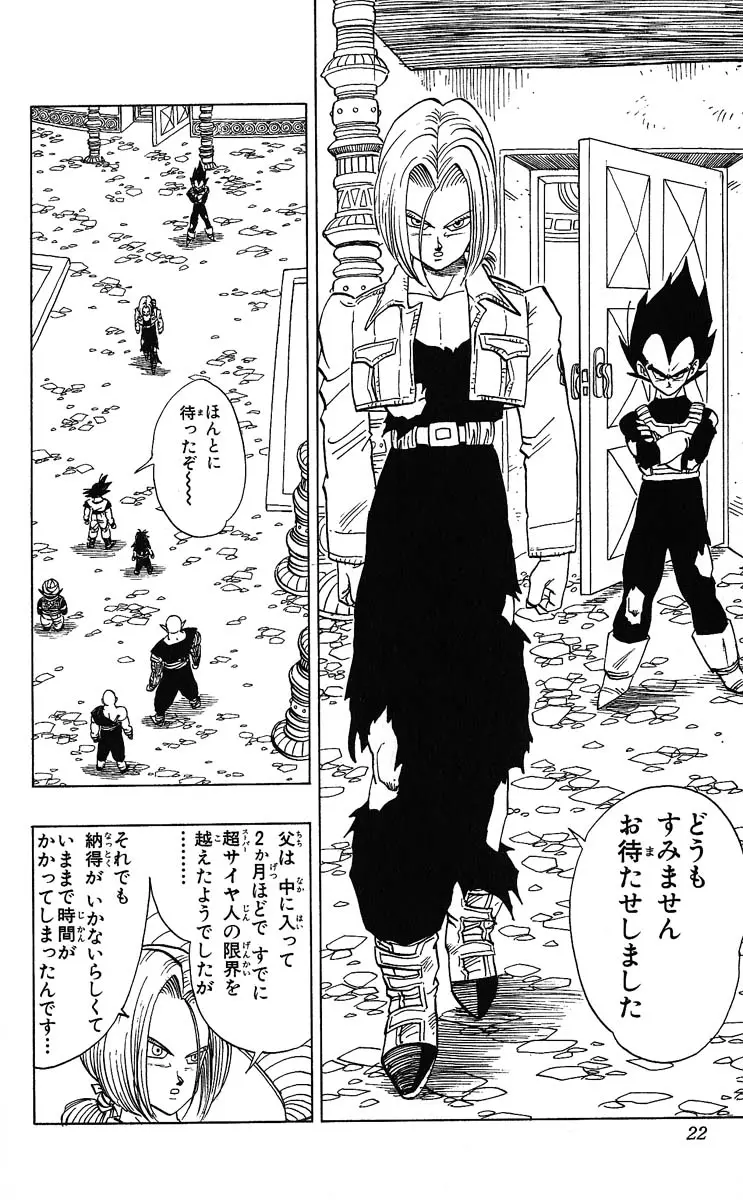 Chapitre 32 — Dragon Ball (Édition Japonaise) Vol. 32 — page 22