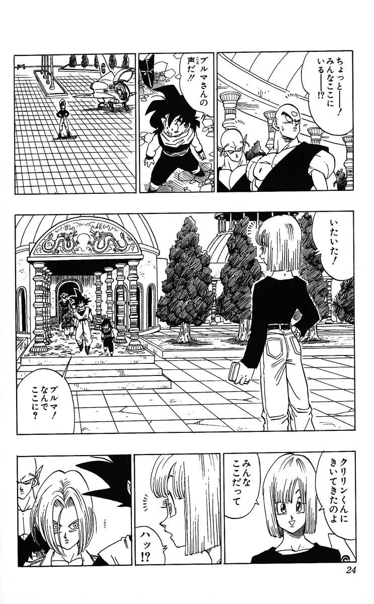Chapitre 32 — Dragon Ball (Édition Japonaise) Vol. 32 — page 24