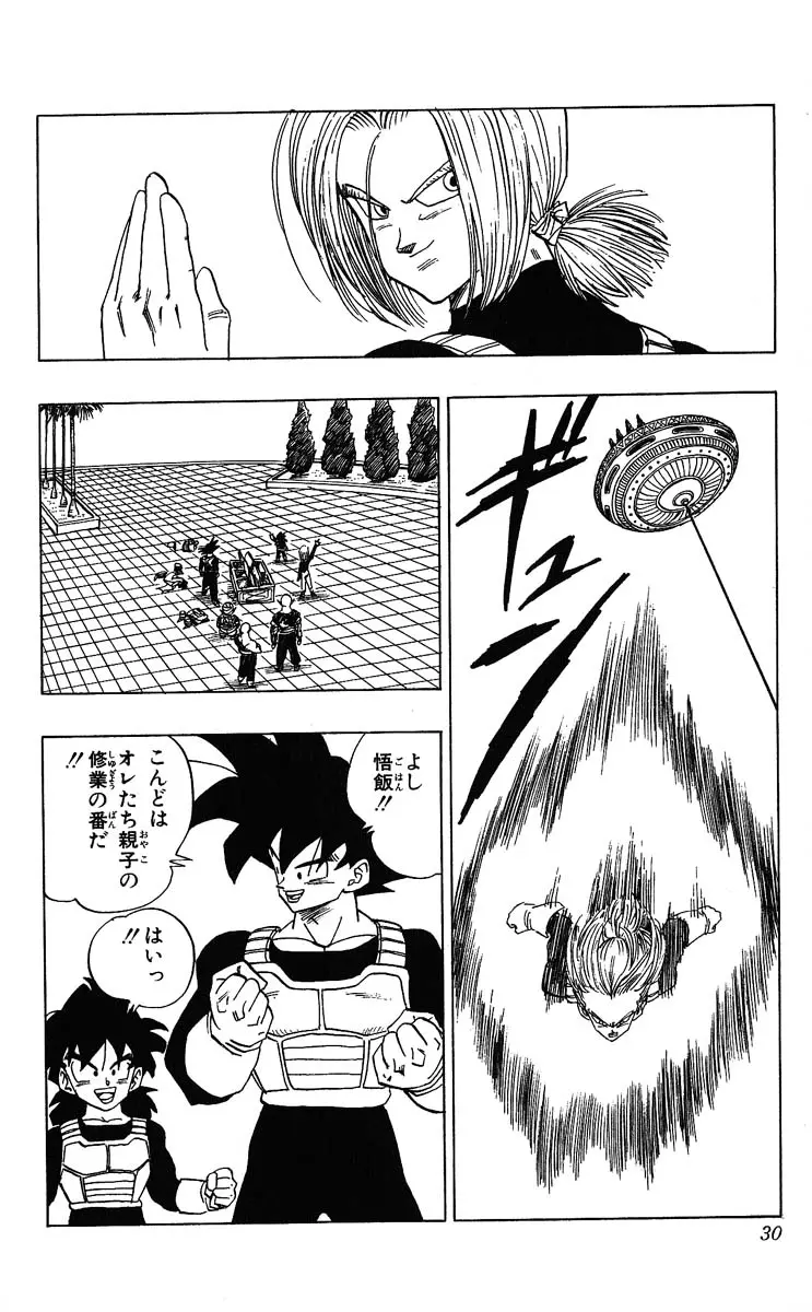 Chapitre 32 — Dragon Ball (Édition Japonaise) Vol. 32 — page 30