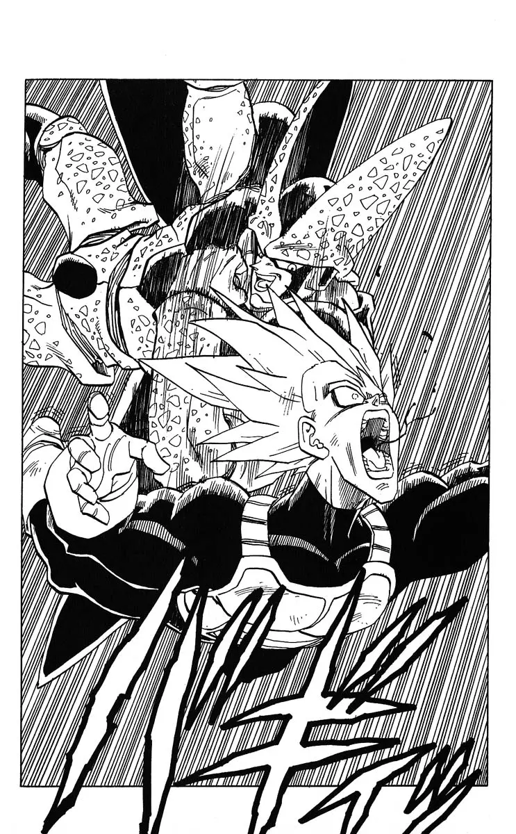 Chapitre 32 — Dragon Ball (Édition Japonaise) Vol. 32 — page 172