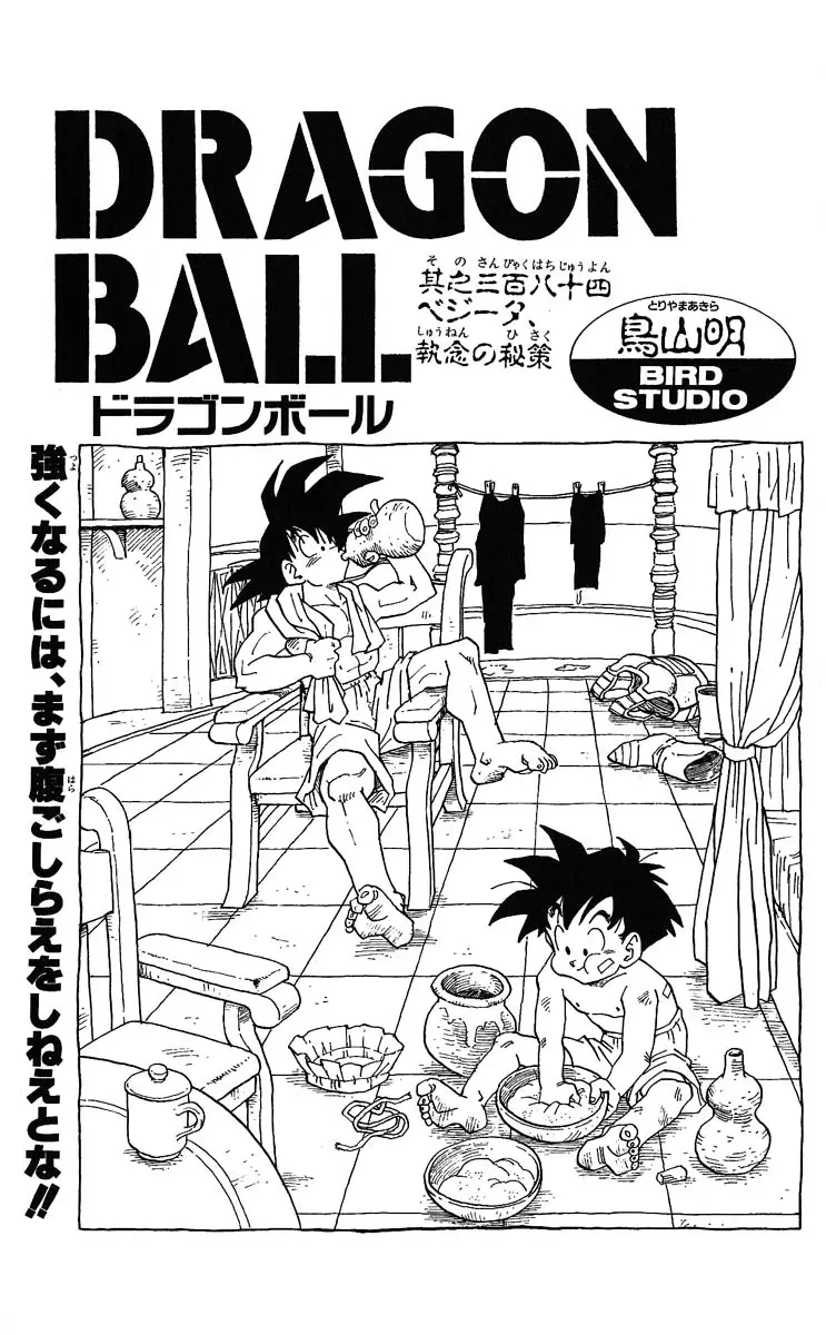 Chapitre 32 — Dragon Ball (Édition Japonaise) Vol. 32 — page 185
