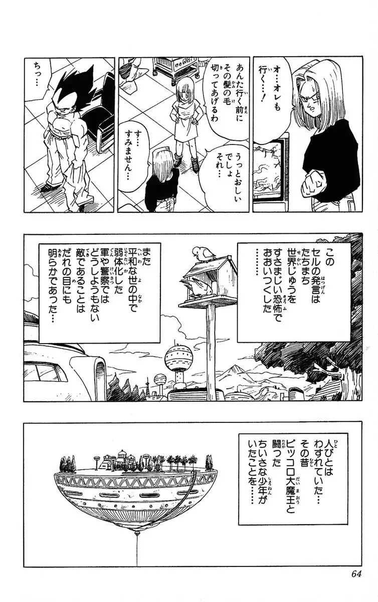 Chapitre 33 — Dragon Ball (Édition Japonaise) Vol. 33 — page 64