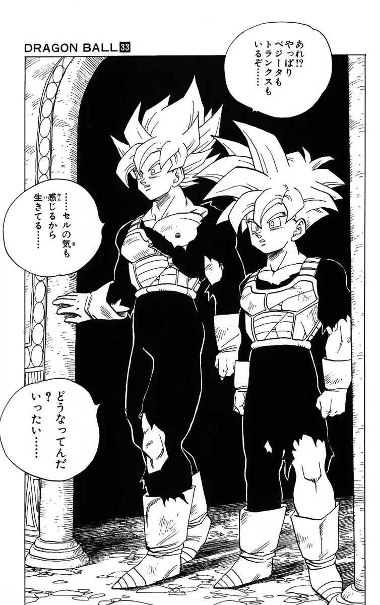 Chapitre 33 — Dragon Ball (Édition Japonaise) Vol. 33 — page 69