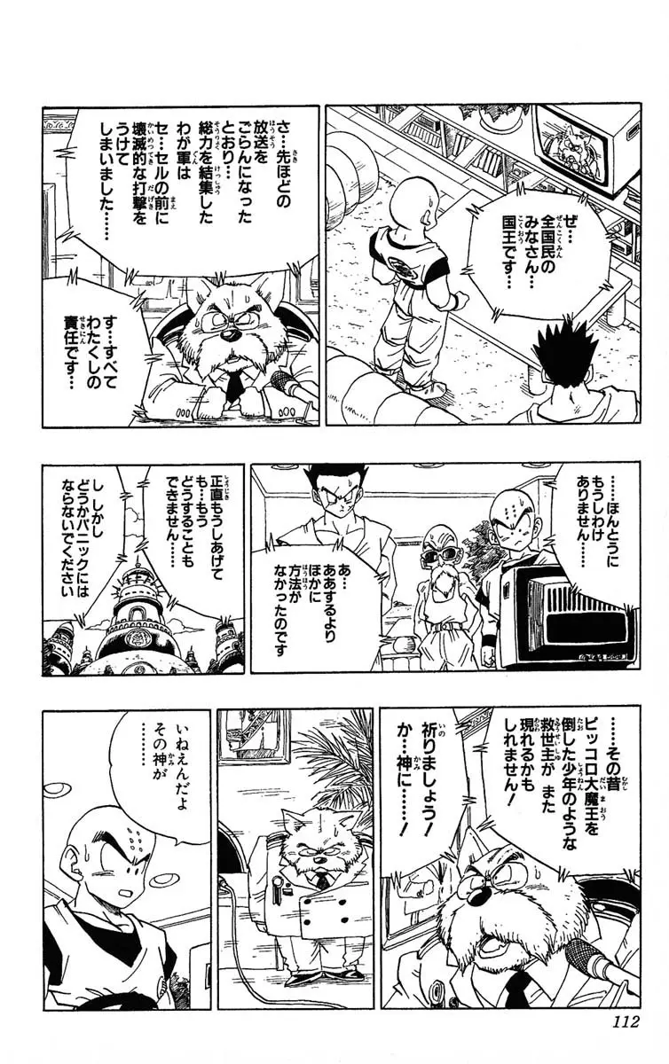 Chapitre 33 — Dragon Ball (Édition Japonaise) Vol. 33 — page 112