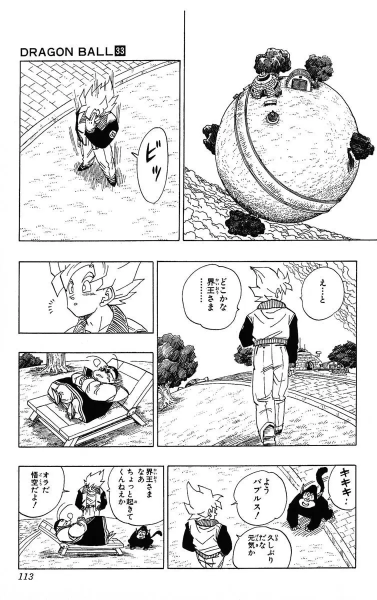Chapitre 33 — Dragon Ball (Édition Japonaise) Vol. 33 — page 113
