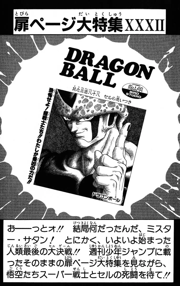 Chapitre 33 — Dragon Ball (Édition Japonaise) Vol. 33 — page 185