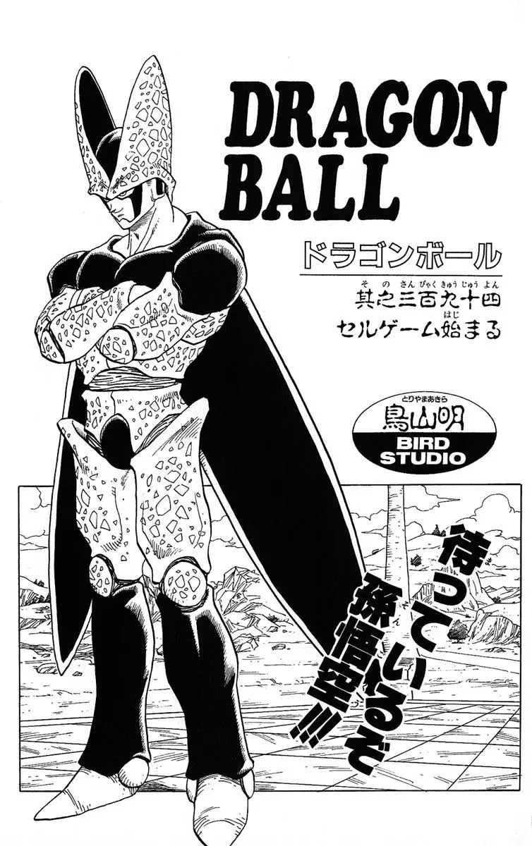 Chapitre 33 — Dragon Ball (Édition Japonaise) Vol. 33 — page 189