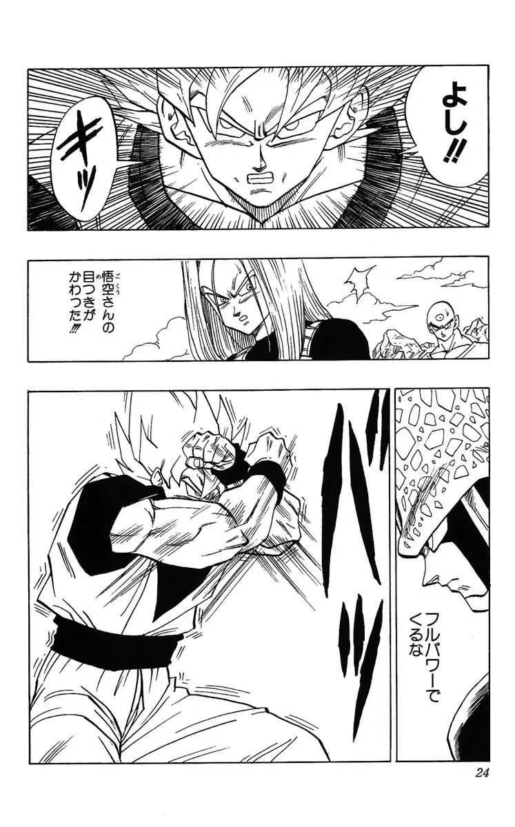 Chapitre 34 — Dragon Ball (Édition Japonaise) Vol. 34 — page 24