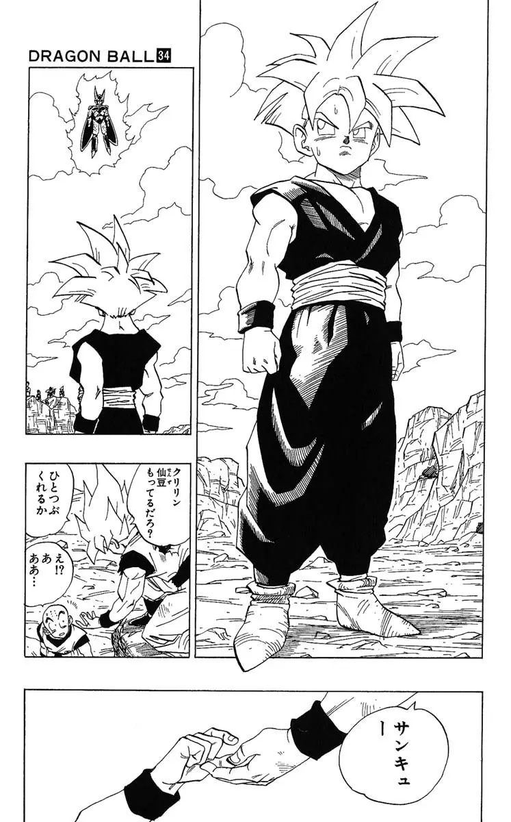 Chapitre 34 — Dragon Ball (Édition Japonaise) Vol. 34 — page 101