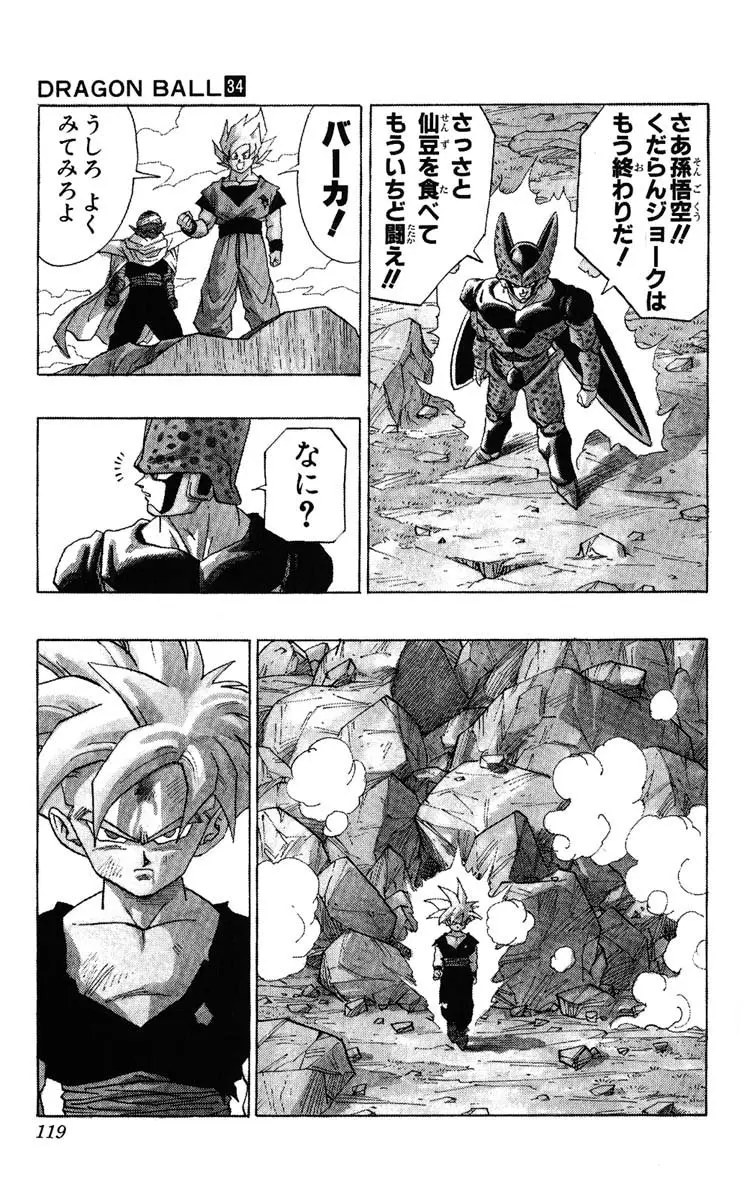 Chapitre 34 — Dragon Ball (Édition Japonaise) Vol. 34 — page 119