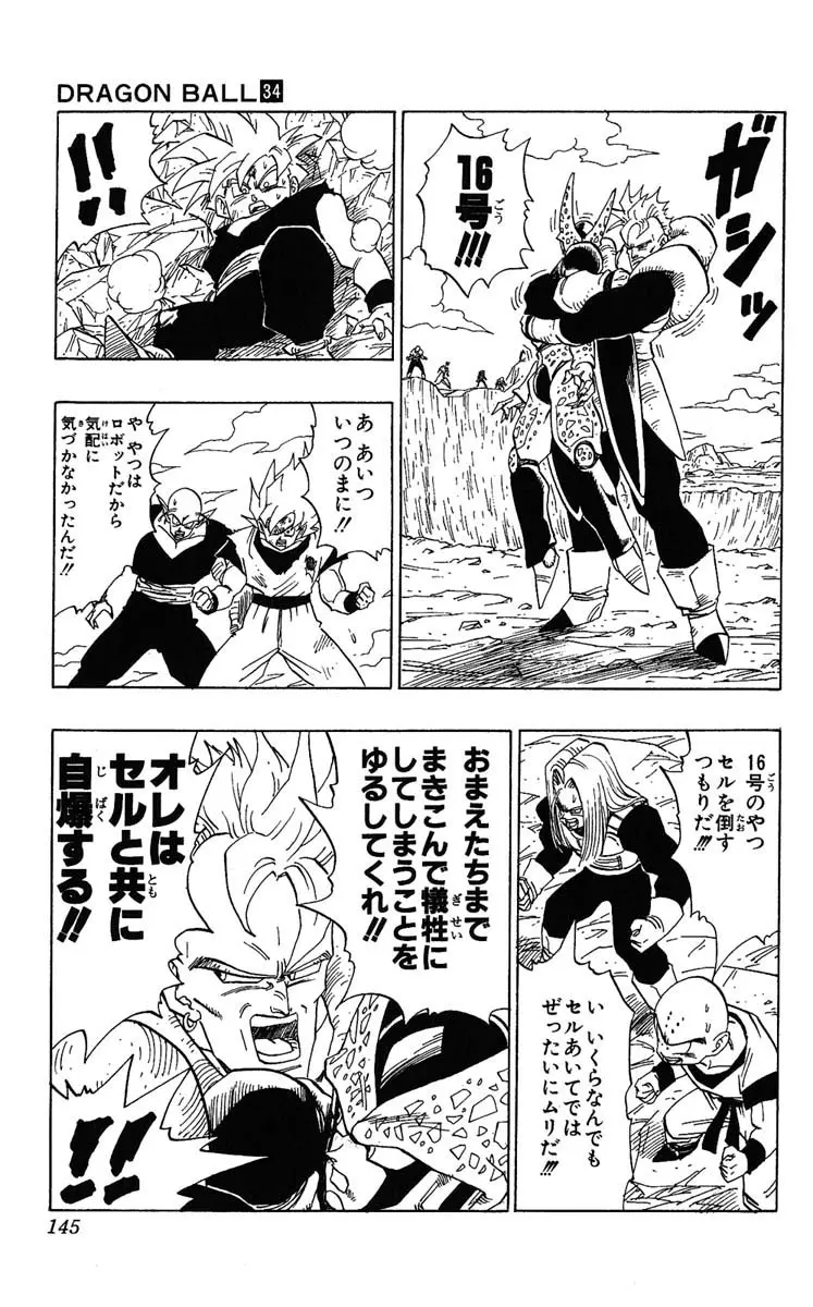 Chapitre 34 — Dragon Ball (Édition Japonaise) Vol. 34 — page 145