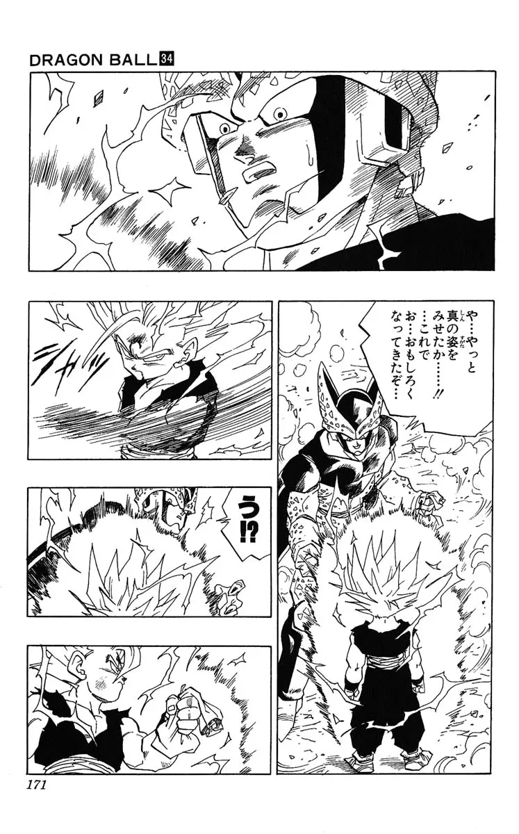 Chapitre 34 — Dragon Ball (Édition Japonaise) Vol. 34 — page 171
