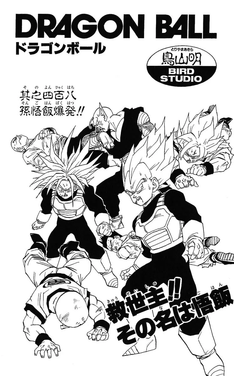 Chapitre 34 — Dragon Ball (Édition Japonaise) Vol. 34 — page 189