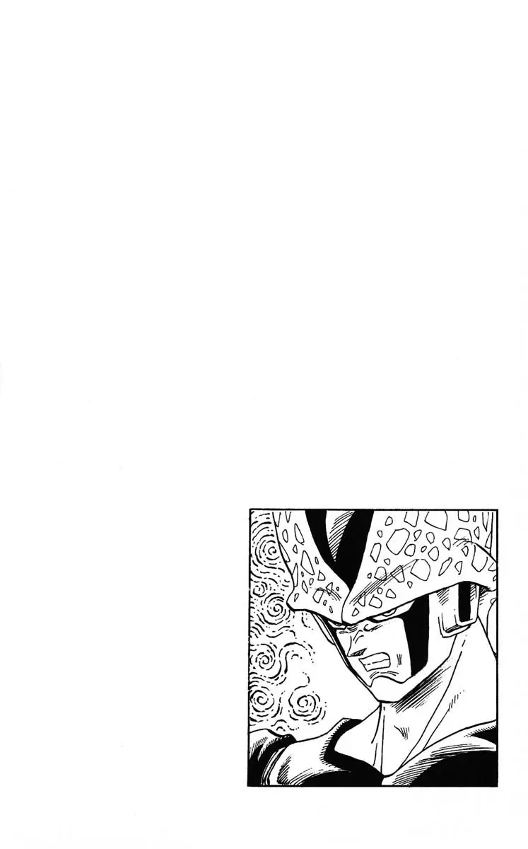Chapitre 35 — Dragon Ball (Édition Japonaise) Vol. 35 — page 22