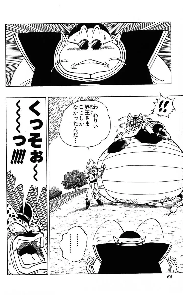Chapitre 35 — Dragon Ball (Édition Japonaise) Vol. 35 — page 64