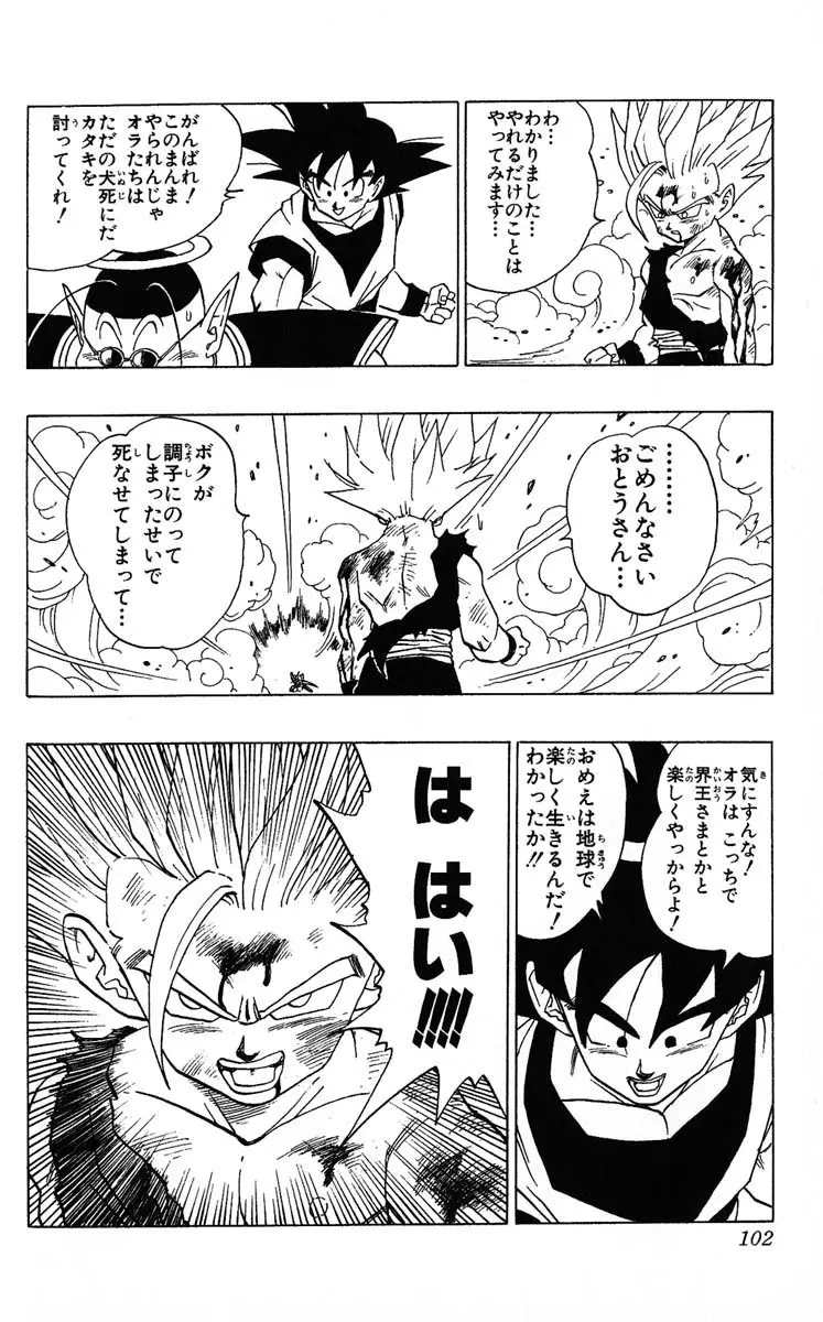 Chapitre 35 — Dragon Ball (Édition Japonaise) Vol. 35 — page 102