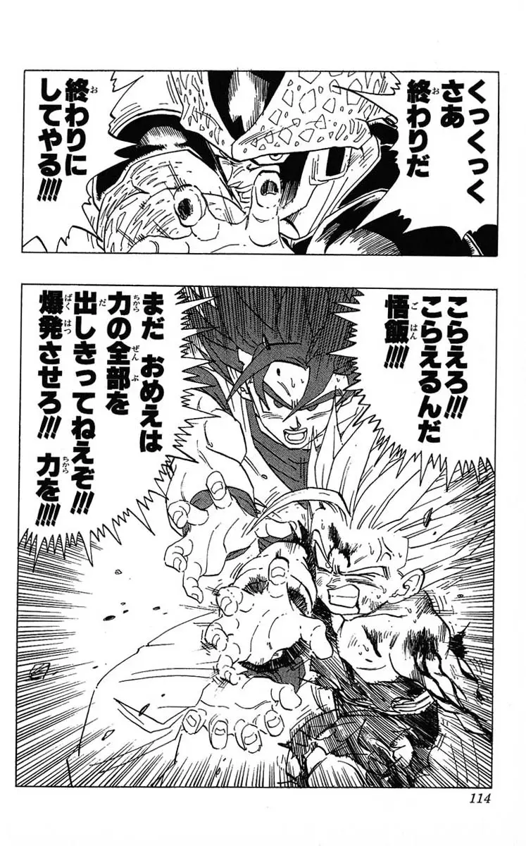 Chapitre 35 — Dragon Ball (Édition Japonaise) Vol. 35 — page 114