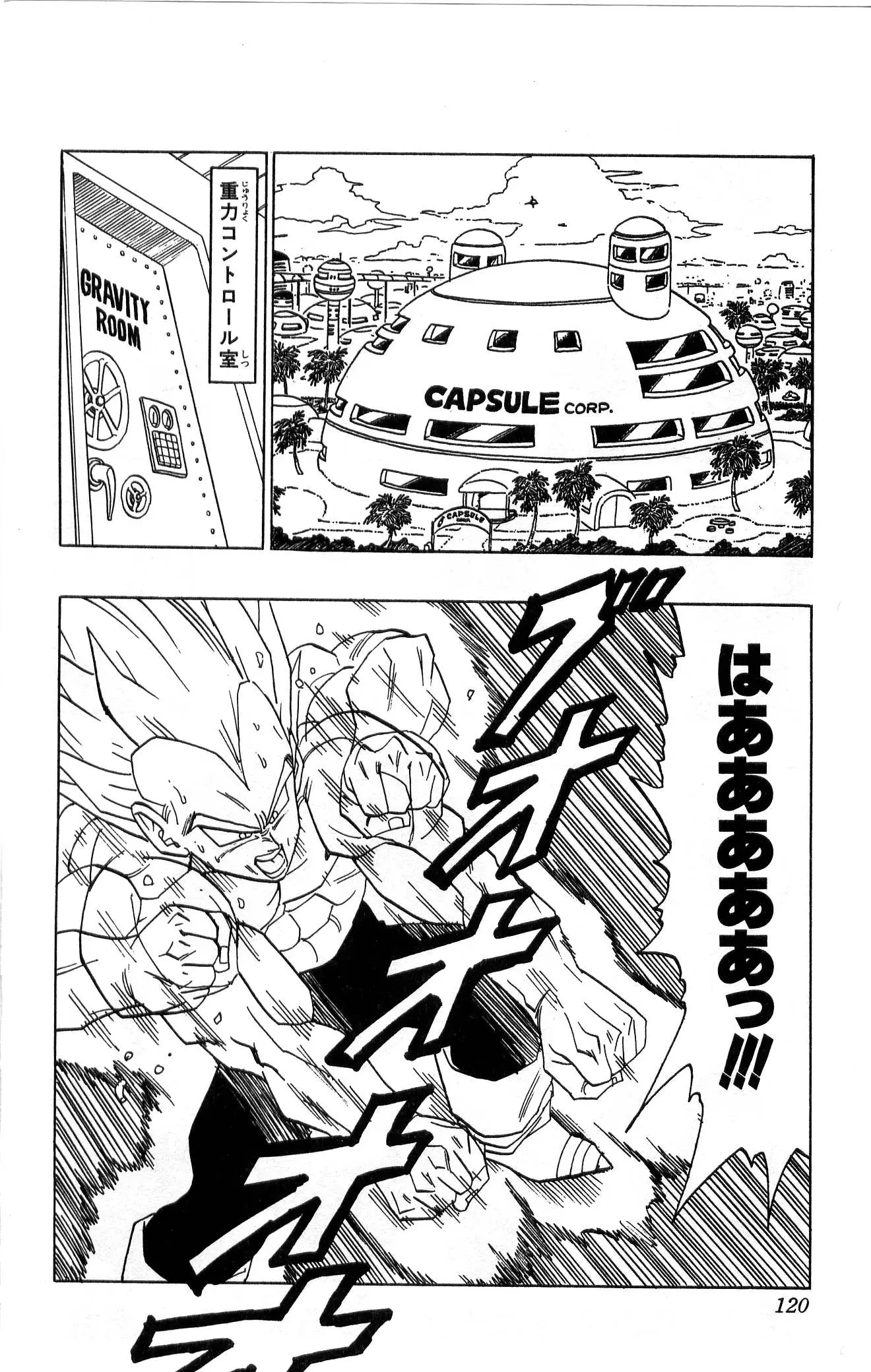 Chapitre 36 — Dragon Ball (Édition Japonaise) Vol. 36 — page 120