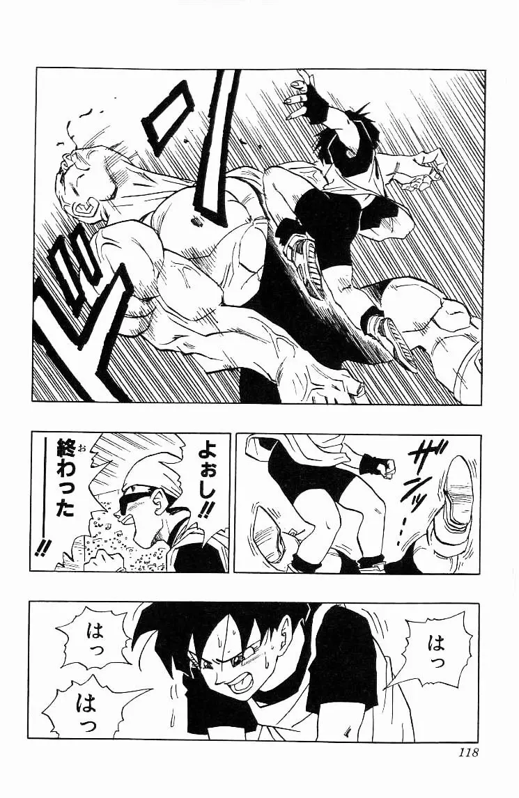 Chapitre 37 — Dragon Ball (Édition Japonaise) Vol. 37 — page 118