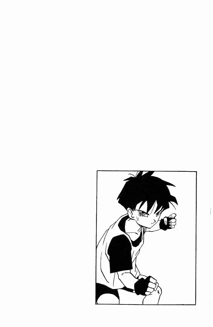Chapitre 37 — Dragon Ball (Édition Japonaise) Vol. 37 — page 120