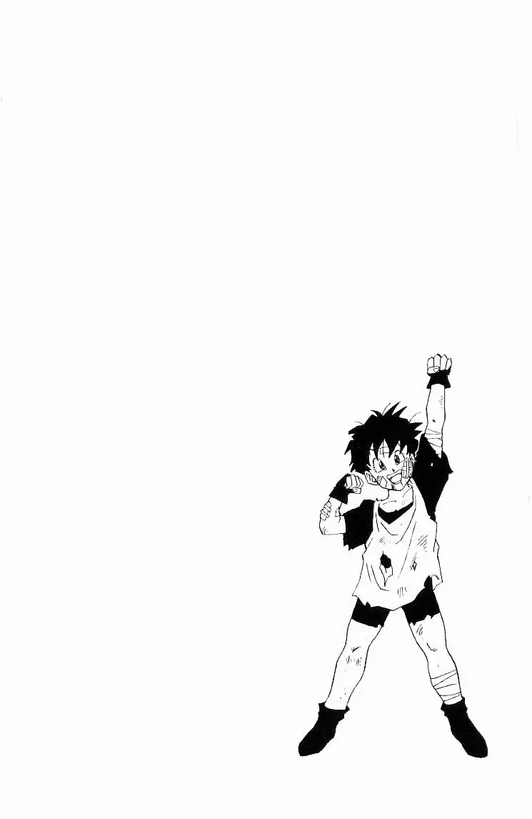 Chapitre 37 — Dragon Ball (Édition Japonaise) Vol. 37 — page 162