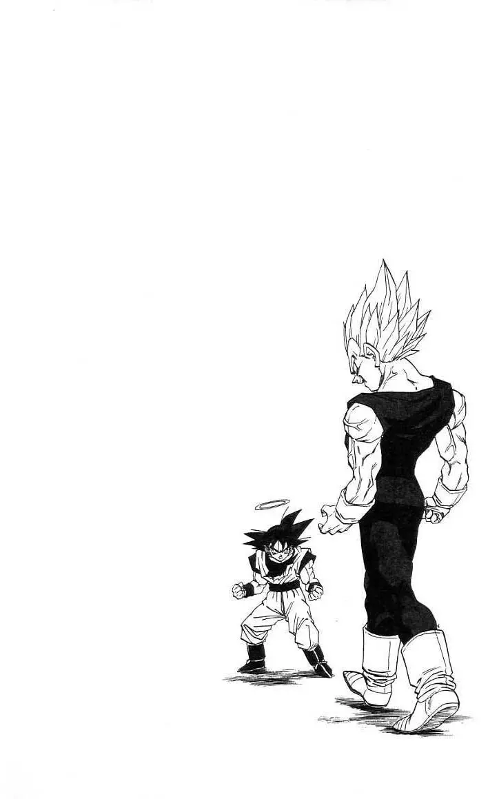 Chapitre 38 — Dragon Ball (Édition Japonaise) Vol. 38 — page 165
