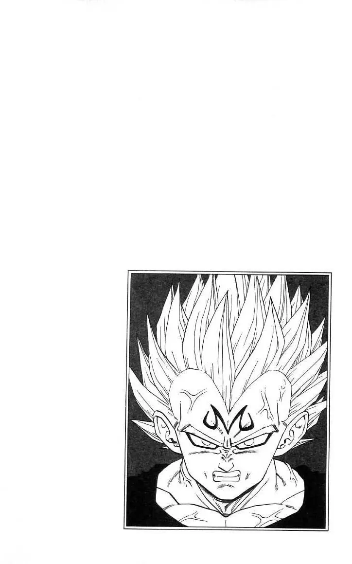 Chapitre 38 — Dragon Ball (Édition Japonaise) Vol. 38 — page 179