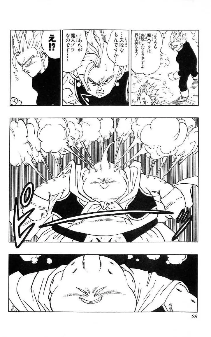 Chapitre 39 — Dragon Ball (Édition Japonaise) Vol. 39 — page 29
