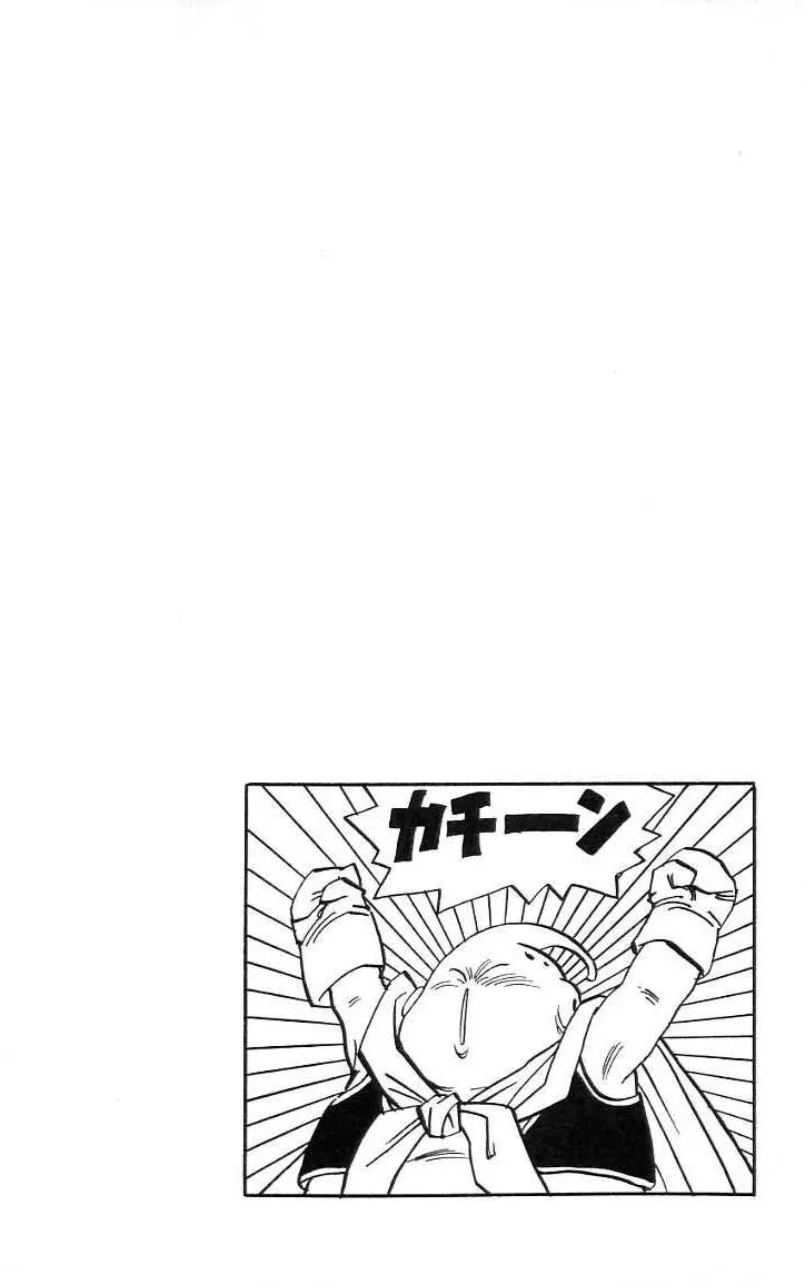 Chapitre 39 — Dragon Ball (Édition Japonaise) Vol. 39 — page 33