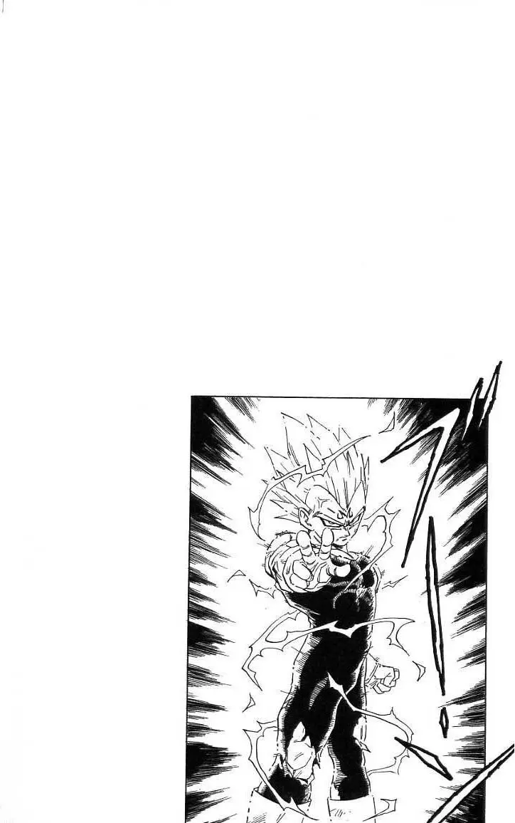 Chapitre 39 — Dragon Ball (Édition Japonaise) Vol. 39 — page 115