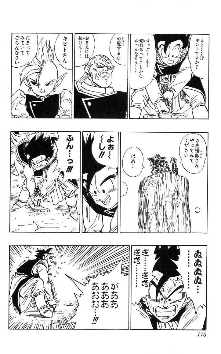 Chapitre 39 — Dragon Ball (Édition Japonaise) Vol. 39 — page 171
