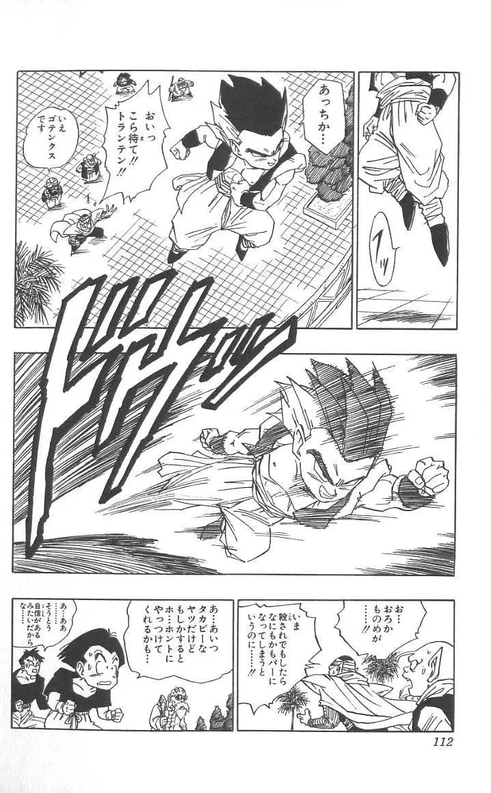 Chapitre 40 — Dragon Ball (Édition Japonaise) Vol. 40 — page 113