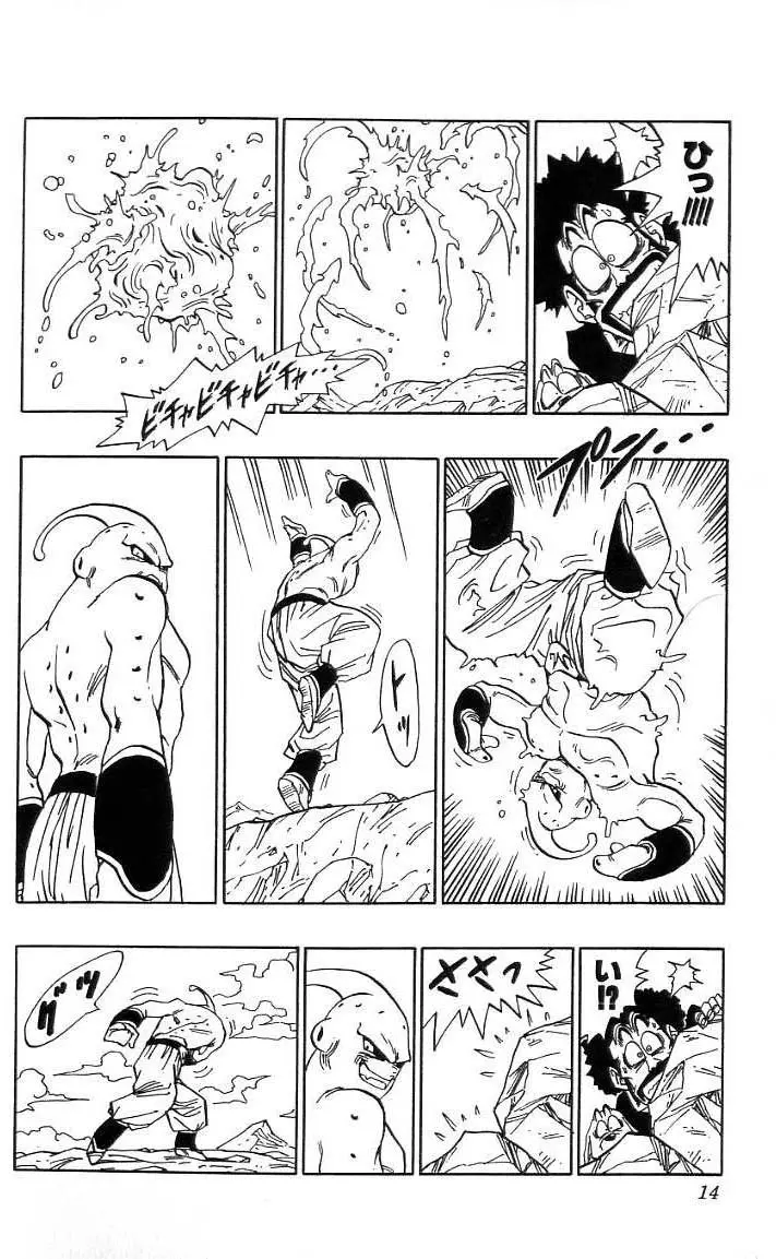 Chapitre 41 — Dragon Ball (Édition Japonaise) Vol. 41 — page 15