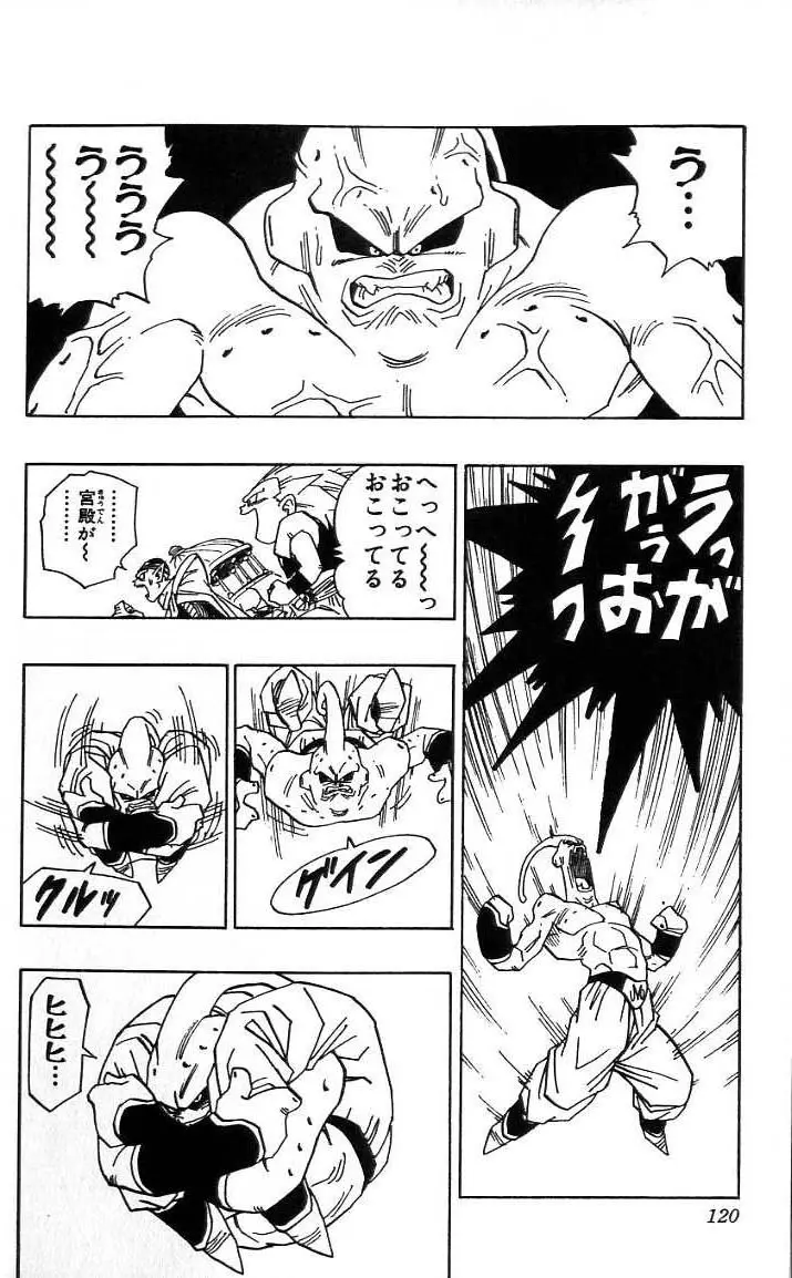 Chapitre 41 — Dragon Ball (Édition Japonaise) Vol. 41 — page 121